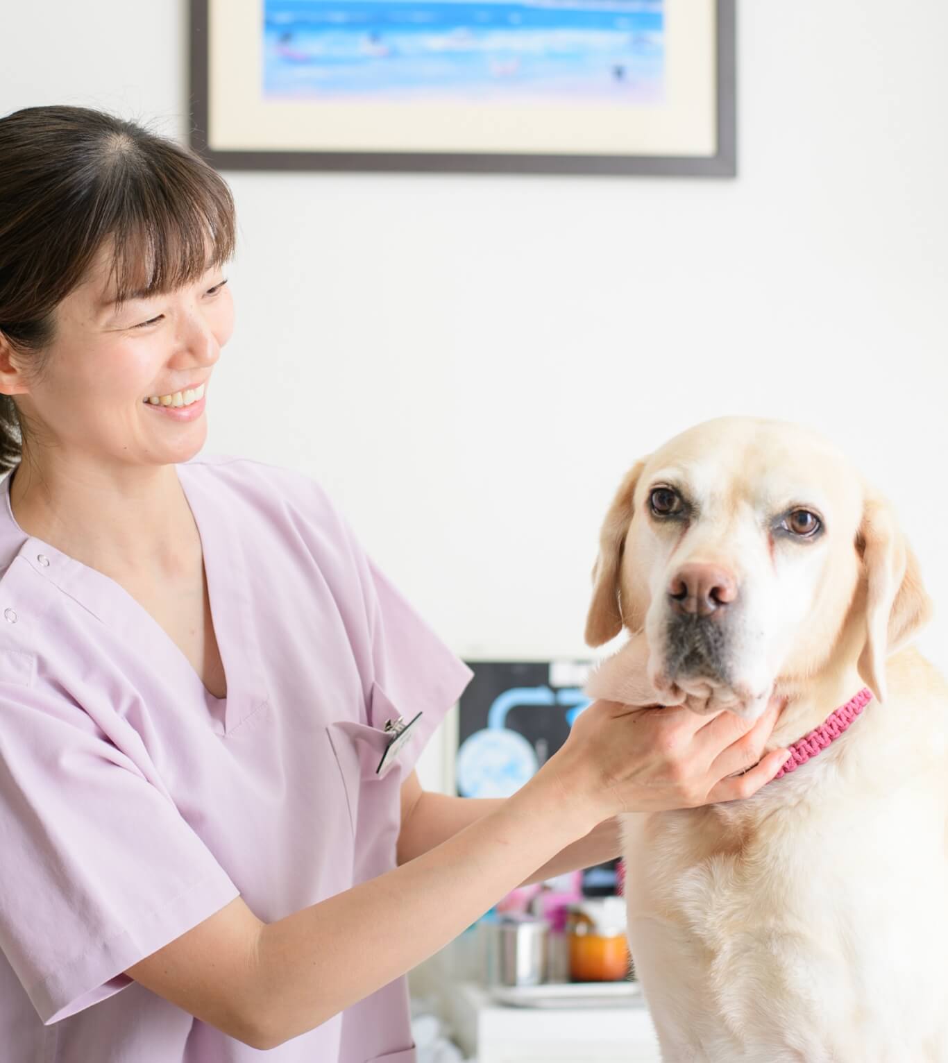 より健やかで楽しい日々を動物たちと飼い主さまの笑顔のために