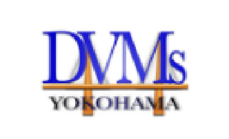 yokohama-dvms