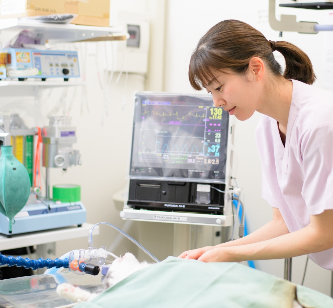 ジェネラリストとして幅広く総合的で高度な獣医療を提供します。